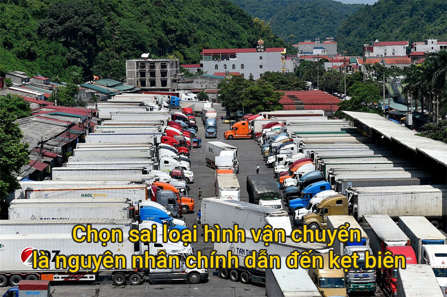  Chọn sai hình thức vận chuyển (tiết kiệm → thành chậm)